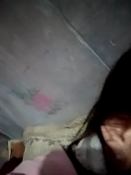 pic8800 online show from March 2026 06:17:01 AM