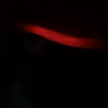 yaocaobi8 online show from March 2026 10:25:01 PM