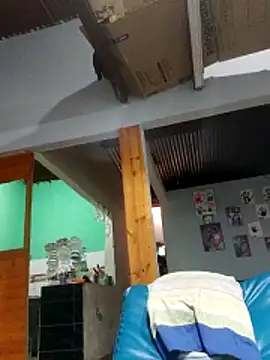 Snapshot of stivengaviria chatting on February 2026 11:31:02 AM stivengaviria online show from February 2026 11:31:02 AM