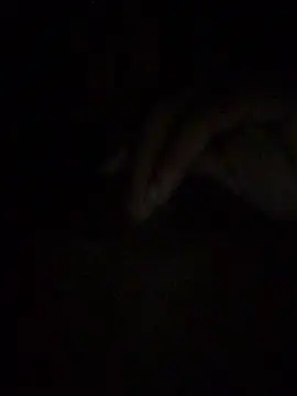 gostinhopauzudo online show from March 2026 03:21:02 AM