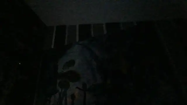 Snapshot of xoxchaarrxox chatting on February 2026 07:07:01 AM xoxchaarrxox online show from February 2026 07:07:01 AM