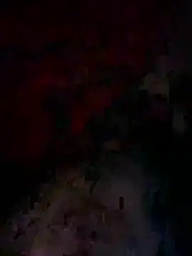 bwcyoussef online show from February 2026 06:35:01 AM