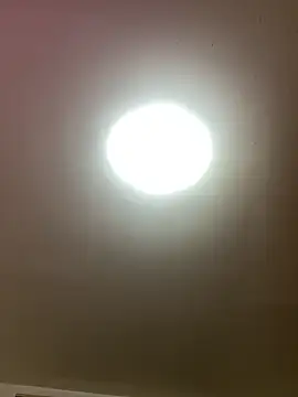 KarmaFoxx online show from March 2026 03:01:01 AM