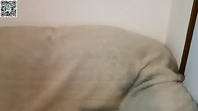  ZaneX online show from April 2026 07:30:02 PM