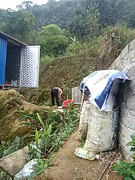 dualeo11 online show from March 2026 06:19:02 AM