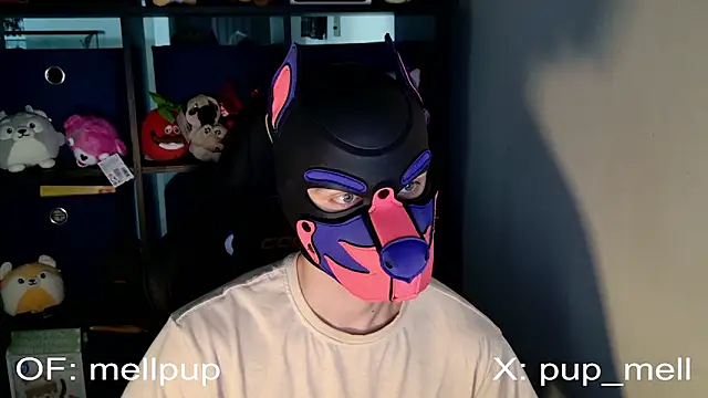 Snapshot of MellPUP chatting on June 2026 01:04:01 PM MellPUP online show from June 2026 01:04:01 PM