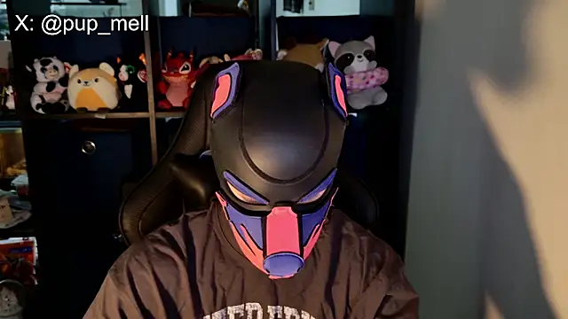 Snapshot of MellPUP chatting on August 2026 03:36:01 PM MellPUP online show from August 2026 03:36:01 PM
