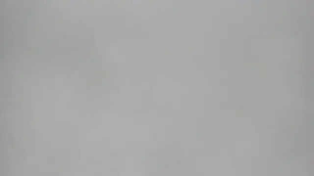 KoralCruz  online show from March 2026 04:01:01 PM