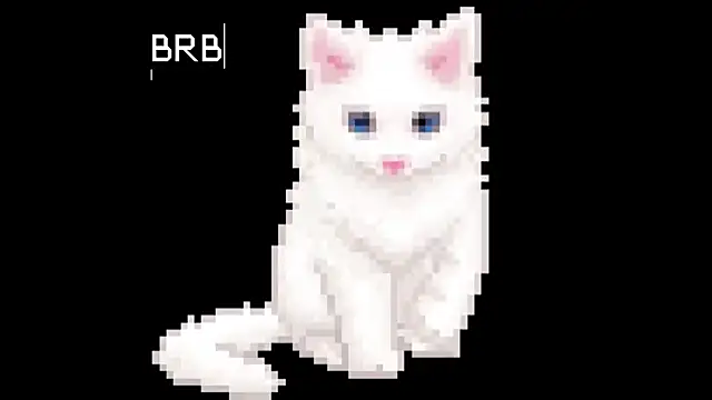 BlinkingDross online show from June 2026 11:57:02 AM
