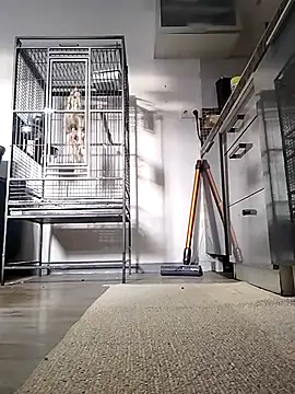 sexy8993 online show from April 2026 05:40:02 PM