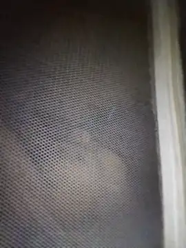 mylove-cute online show from April 2026 09:52:01 PM