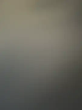 8827Jackson online show from March 2026 12:24:02 PM