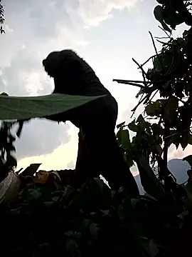 Bling-pusy online show from April 2026 11:32:01 AM