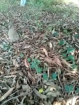 new sexy couple online show from April 2026 07:20:01 AM