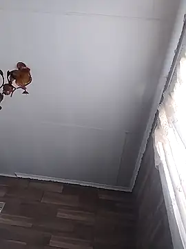 Snapshot of Withford0799 chatting on March 2026 09:48:02 AM Withford0799 online show from March 2026 09:48:02 AM