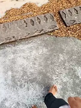 Desii rockstarr online show from March 2026 01:21:01 AM