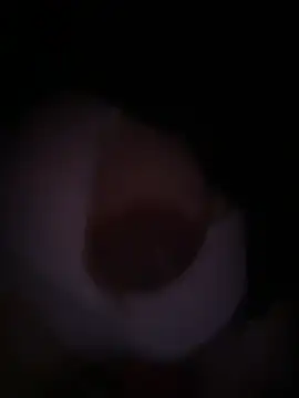 Snapshot of Nabi_pusy chatting on July 2026 11:55:02 PM Nabi pusy online show from July 2026 11:55:02 PM