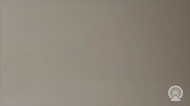 Snapshot of Shynesse21 chatting on March 2026 11:38:01 AM Shynesse21 online show from March 2026 11:38:01 AM