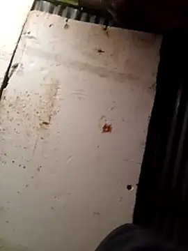 cuteboy023dick online show from March 2026 01:50:02 PM