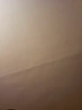 dufatcock online show from April 2026 08:02:02 PM