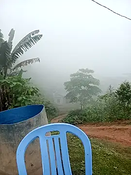 kalara kail online show from April 2026 02:09:01 AM