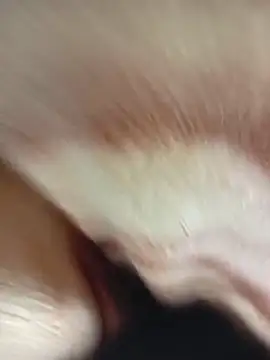 Snapshot of MaSimo_23 chatting on March 2026 09:31:01 PM MaSimo 23 online show from March 2026 09:31:01 PM