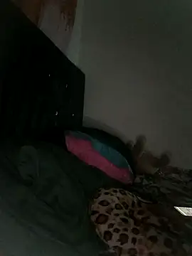 DamianDistroyer online show from March 2026 04:29:01 AM