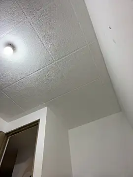 Snapshot of LauTul chatting on April 2026 04:25:01 PM LauTul online show from April 2026 04:25:01 PM