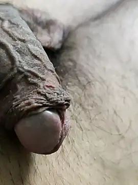 Snapshot of Prasad_Niku chatting on March 2026 05:18:02 PM Prasad Niku online show from March 2026 05:18:02 PM