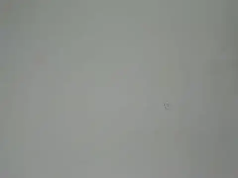 Snapshot of Aliciaa_Diamond chatting on March 2026 08:26:01 PM Aliciaa Diamond online show from March 2026 08:26:01 PM