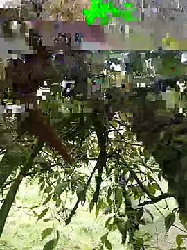 xjkedv online show from June 2026 06:45:01 PM