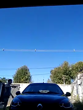 Switzerland32 online show from April 2026 08:58:02 PM