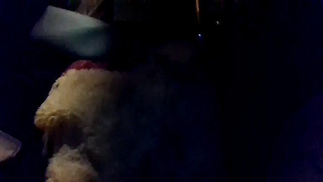 shag369 online show from April 2026 05:36:02 AM