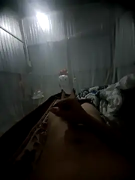 raise559 online show from April 2026 09:41:02 PM