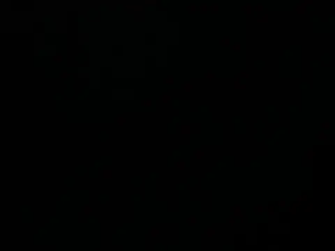 Mexibear online show from August 2026 06:54:01 PM