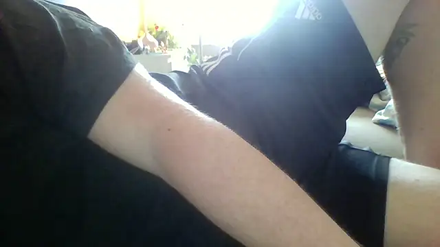 Pallmees online show from April 2026 11:13:02 AM