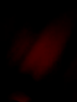 Snapshot of Eivar003 chatting on April 2026 04:54:01 AM Eivar003 online show from April 2026 04:54:01 AM