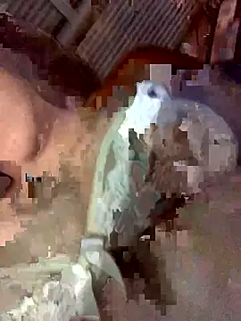 Latinshott online show from April 2026 04:10:02 AM