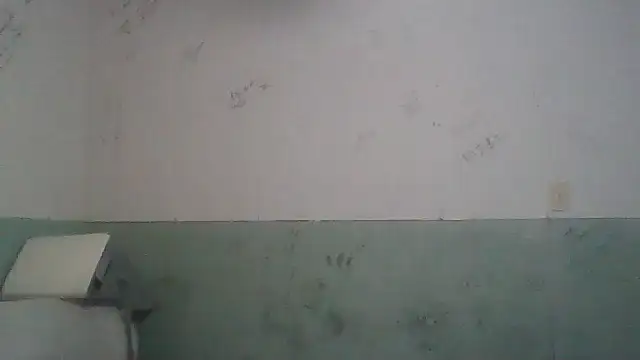 Toytroy197413 online show from April 2026 03:53:02 AM