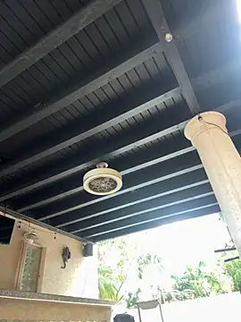 Snapshot of youngwildfreee chatting on April 2026 08:25:02 PM youngwildfreee online show from April 2026 08:25:02 PM