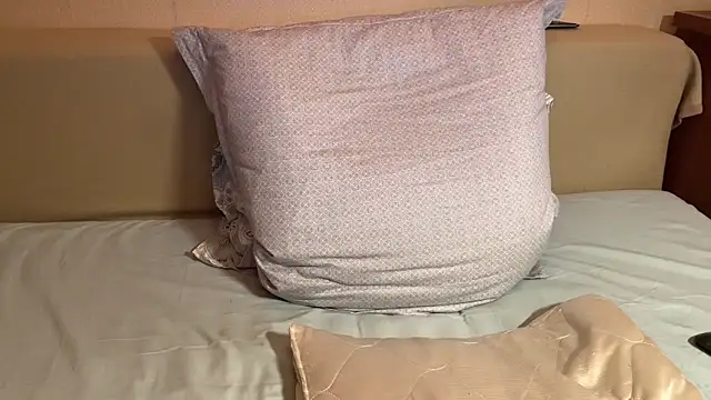 havedream online show from April 2026 10:40:02 AM