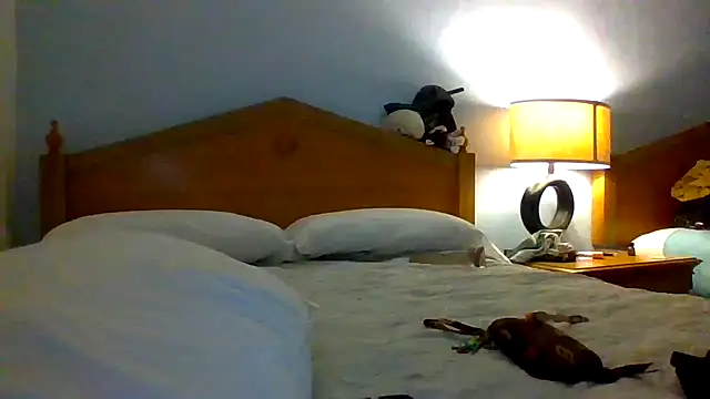 Dicksee Left online show from June 2026 09:58:02 AM
