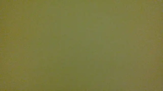 Snapshot of average_jack chatting on April 2026 11:29:02 PM average jack online show from April 2026 11:29:02 PM