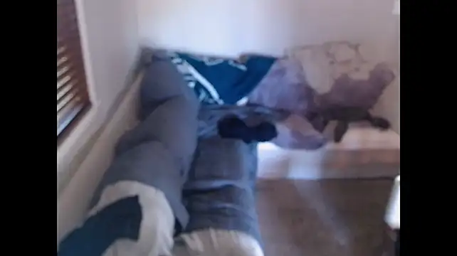 studlyhardwoodd online show from May 2026 01:41:01 PM