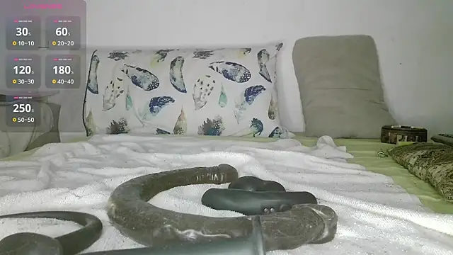 canarito18 online show from July 2026 04:19:01 AM
