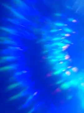 world6kingsss online show from April 2026 09:06:01 PM