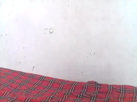 Leeratoe online show from May 2026 07:26:01 AM