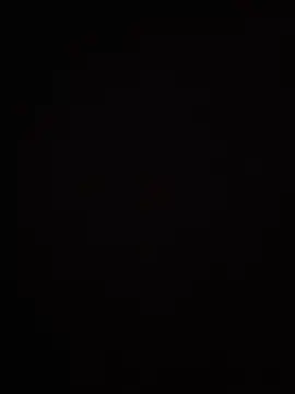 noah ec online show from May 2026 01:37:01 PM