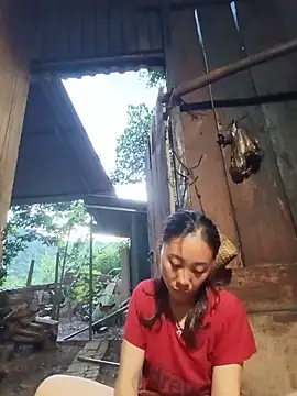 Jinli 01 online show from July 2026 11:52:01 AM