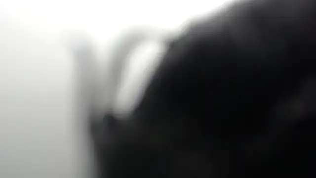 SCARLET ROUSE M online show from May 2026 01:57:16 AM